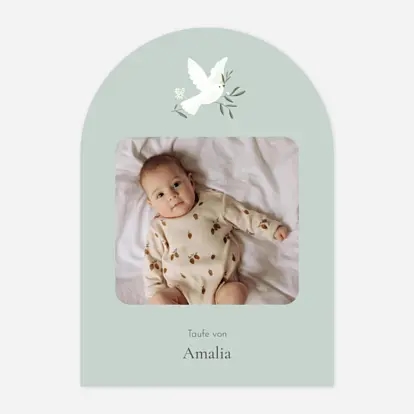 Kleines Täubchen Foto