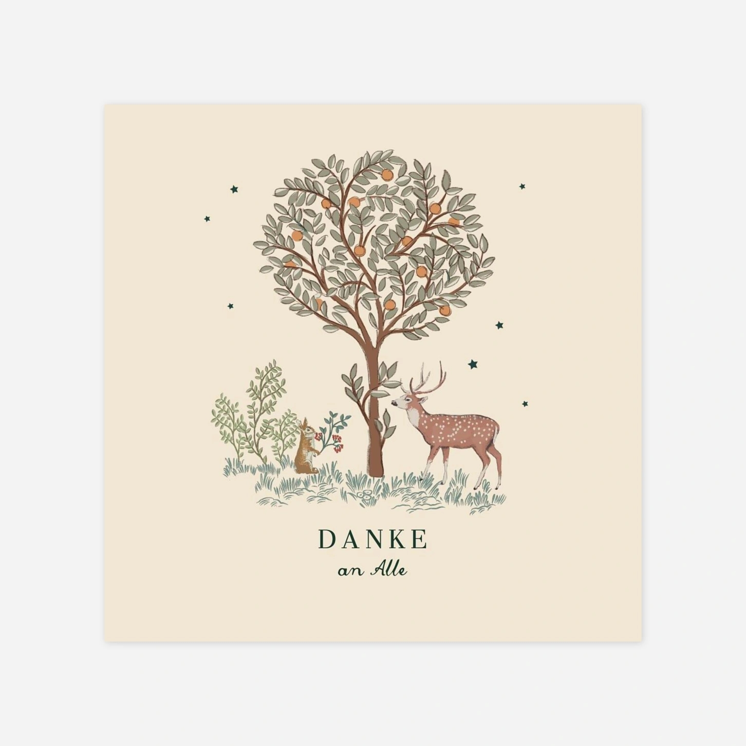 Dankeskarte Geburt Weihnachtsgeschichte