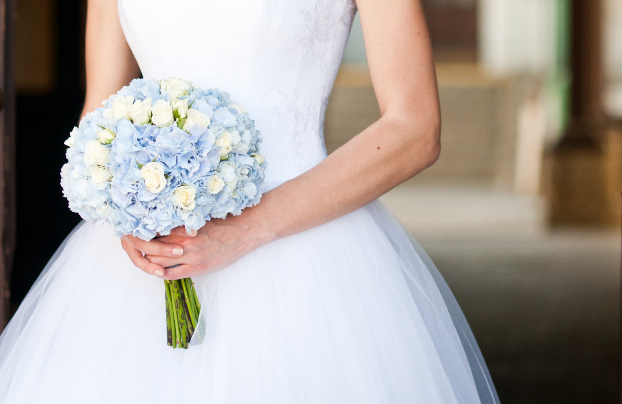 Saison-Guide für Blumen zur Hochzeit Hortensien